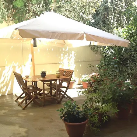 L'edera Trepuzzi