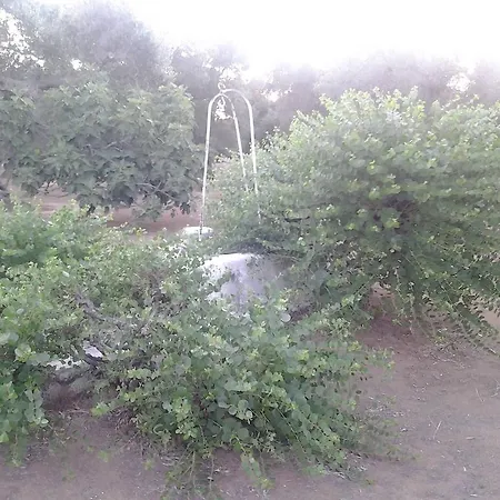 L'edera Apartamento *