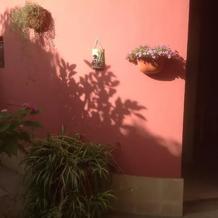 L'edera * Trepuzzi